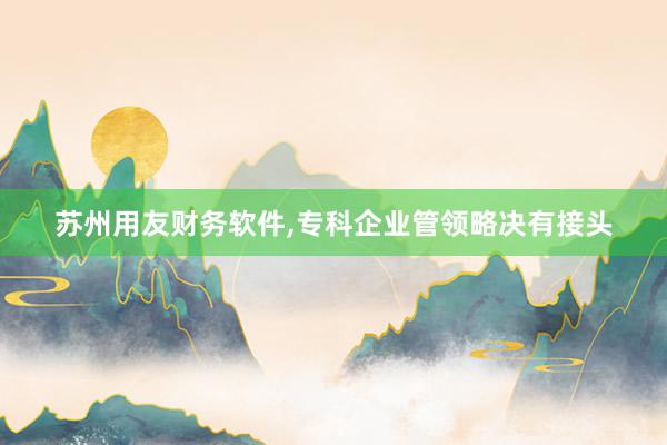 苏州用友财务软件,专科企业管领略决有接头